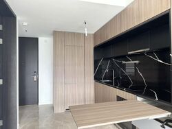 Irwell Hill Residences (D9), Apartment #524905911